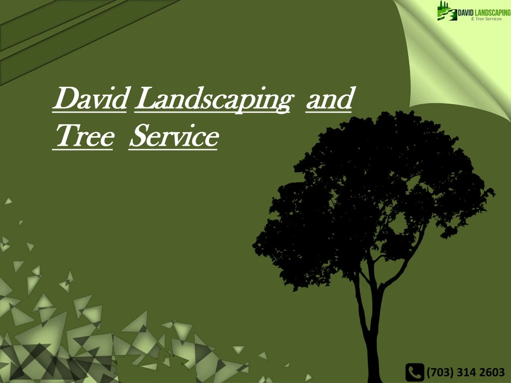 david david landscaping landscaping and tree tree
