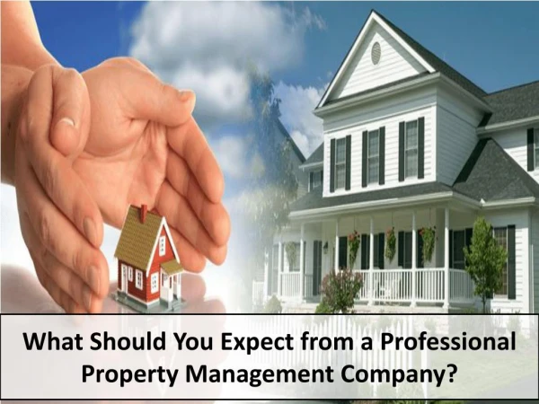 What Should You Expect from a Professional Property Management Company?