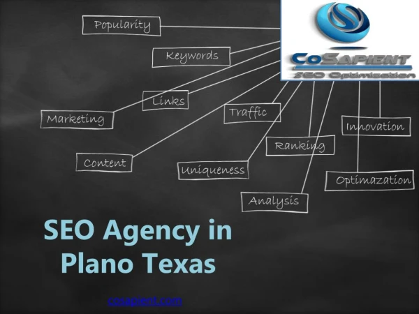 Find CoSapient, the best SEO company in Plano, Texas. We have 16 years of technical experience to deliver various intern