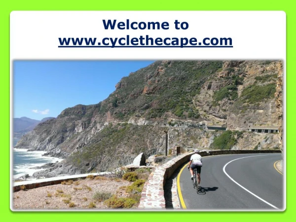 Road Cycling Tour in Cape Town