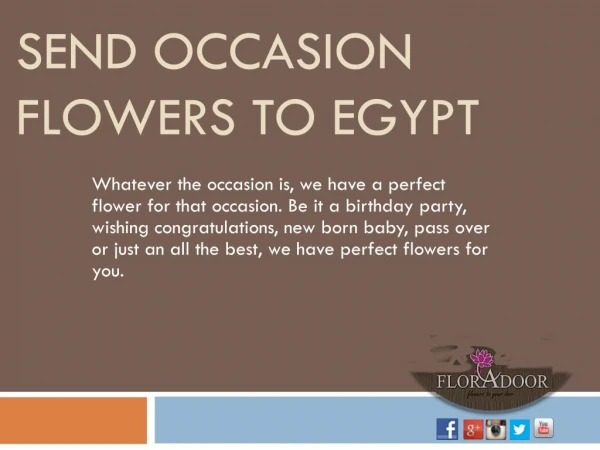 Send Occasion flowers to Egypt | FloraDoor