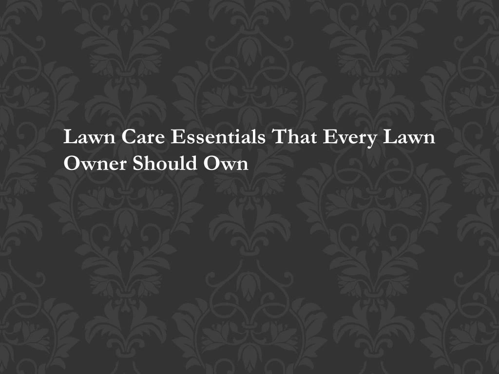 lawn care essentials that every lawn owner should