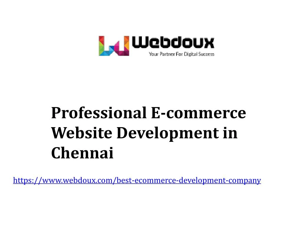 professional e commerce website development
