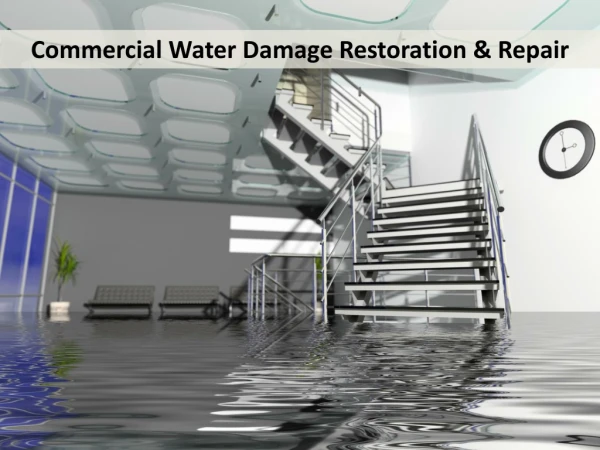 Commercial Water Damage Restoration & Repair Raleigh NC