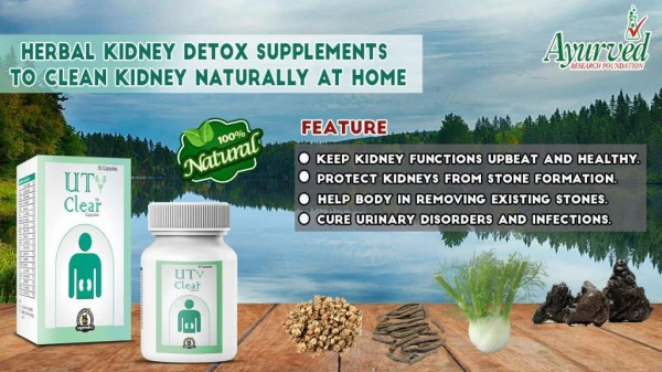 Herbal Kidney Detox Supplements to Clean Kidney Naturally at Home