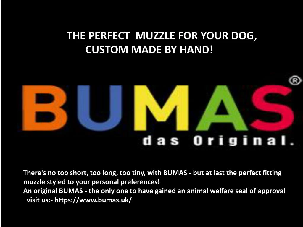 the perfect muzzle for your dog custom made