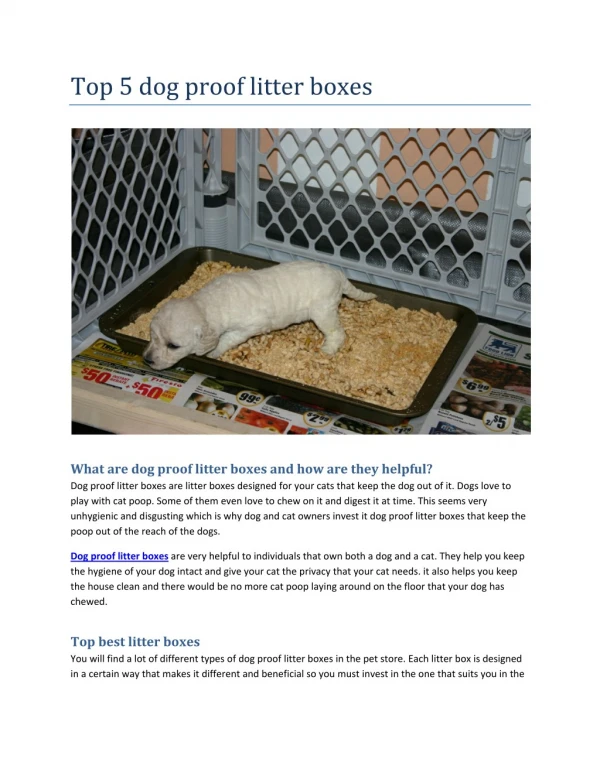 Top 5 dog proof litter boxes