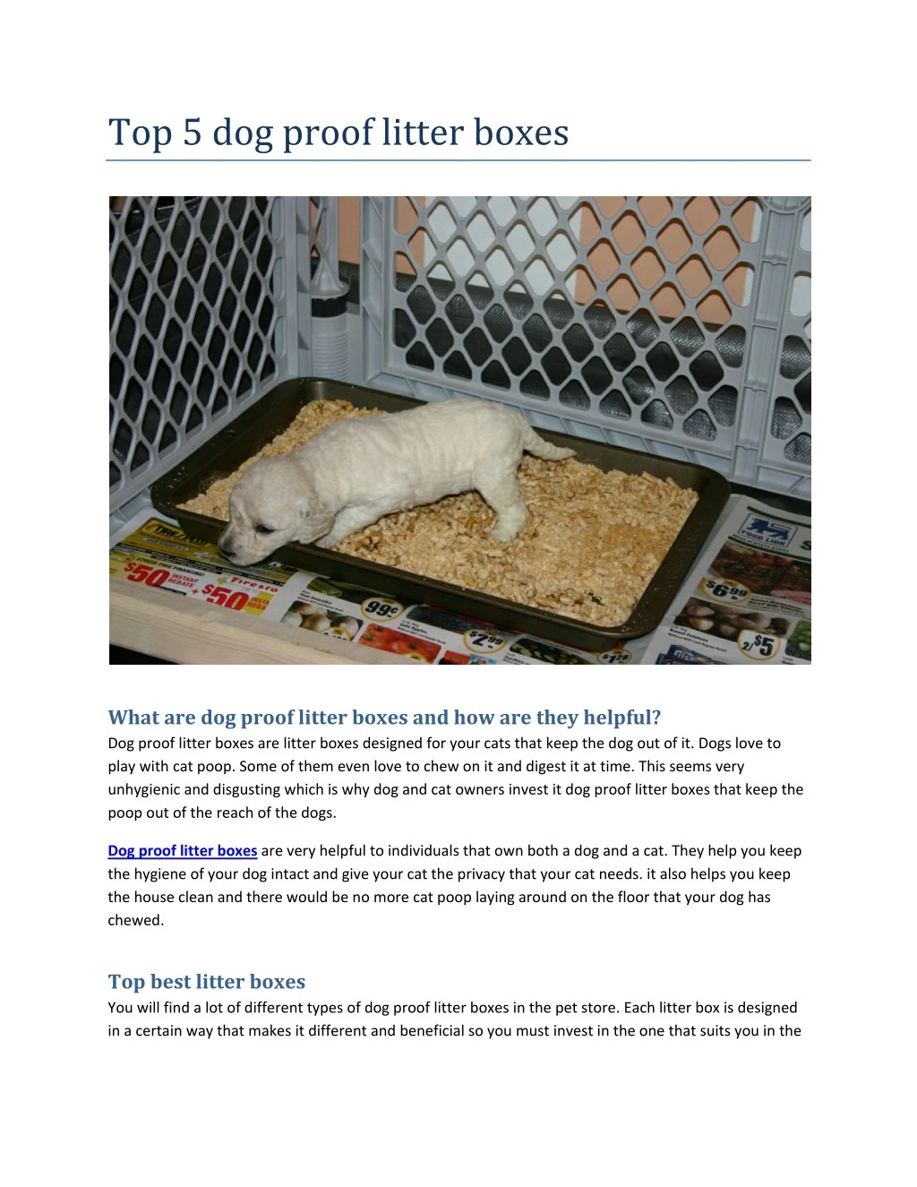 top 5 dog proof litter boxes