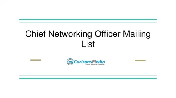 Chief Networking Officer Mailing List