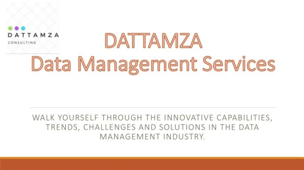 Dattamza Consulting Services