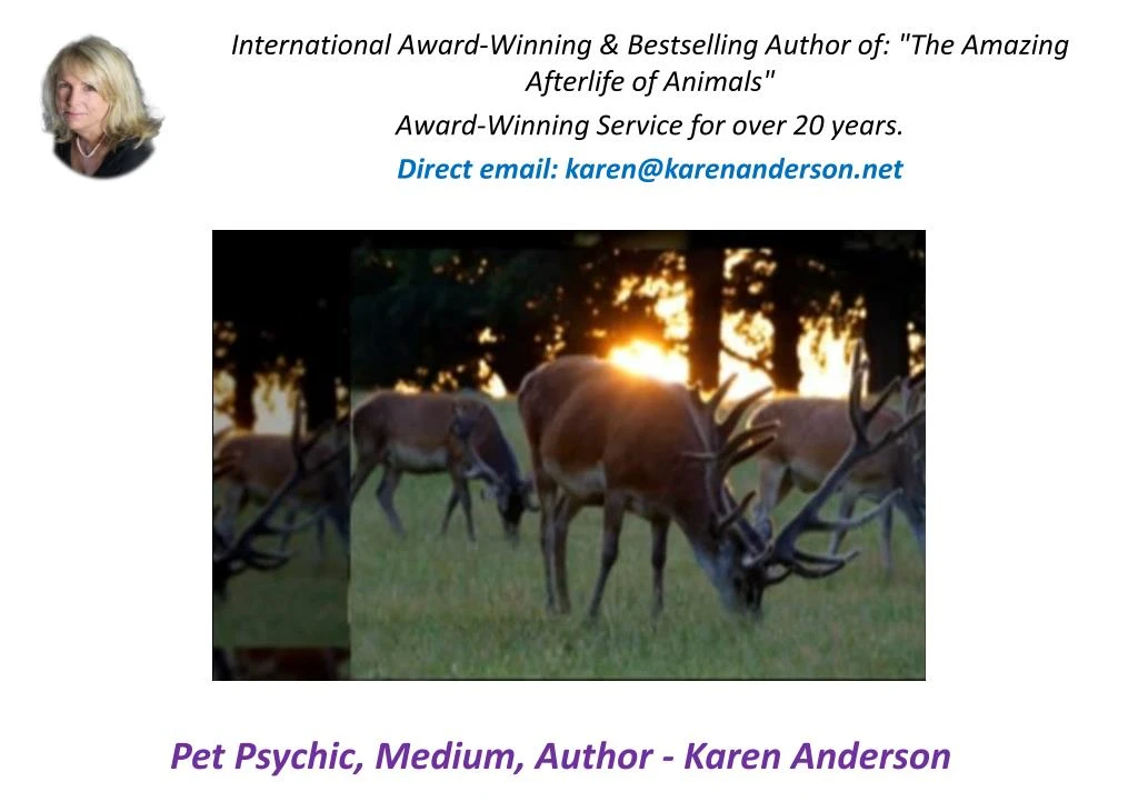 pet psychic medium author karen anderson