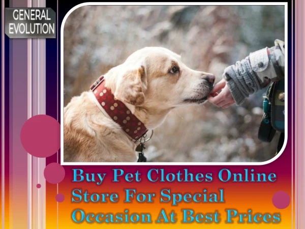 Buy Pet Clothes Online Store For Special Occasion At Best Prices