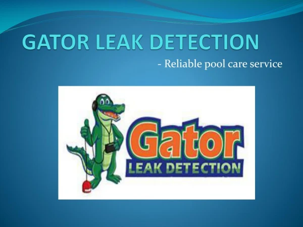 Gator Leak Detection- Reliable pool care Service