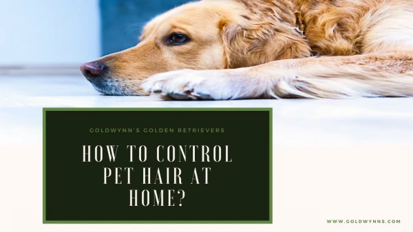 HOW TO CONTROL PET HAIR AT HOME ?