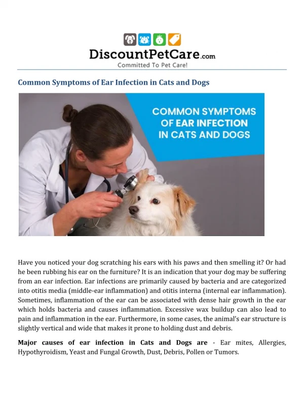 Symptoms of Ear infection in cats and Dogs