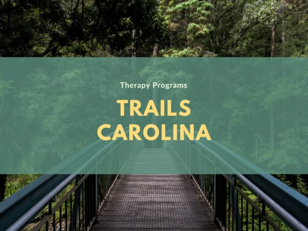Therapy Programs at Trails Carolina