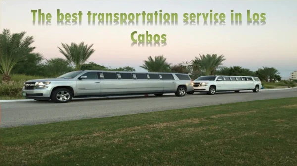 The best transportation service in los cabos