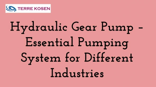Hydraulic Gear Pump Essential Pumping System for Different Industries