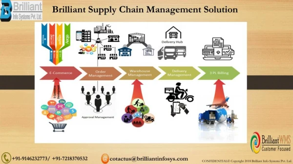 Brilliant Supply Chain Management System Software