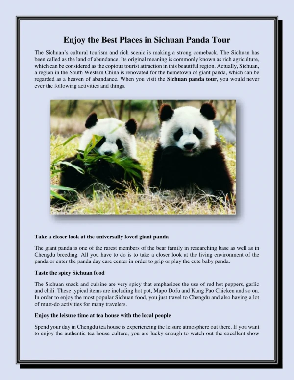 Enjoy the Best Places in Sichuan Panda Tour
