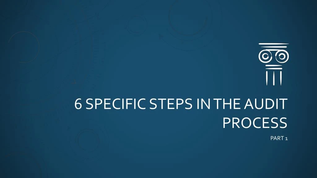 6 specific steps in the audit process