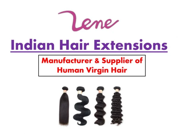 Indian Human Virgin Hair - Lene Hair