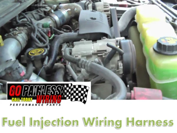 Get the best Brand Fuel Injection Wiring Harness online