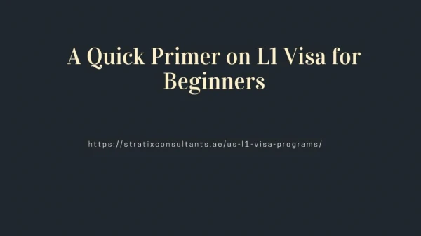 A Quick Primer on L1 Visa for Beginners