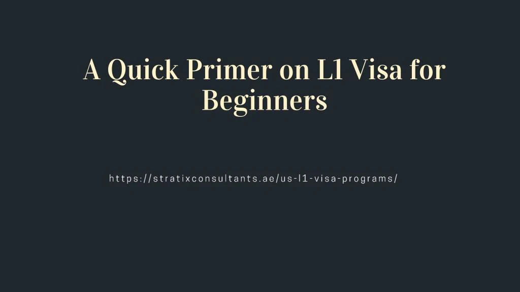 a quick primer on l1 visa for beginners