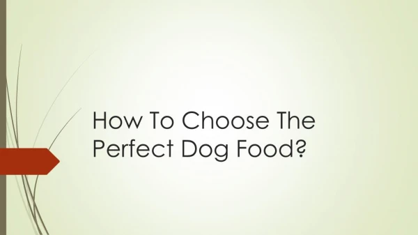 How To Choose The Perfect Dog Food?