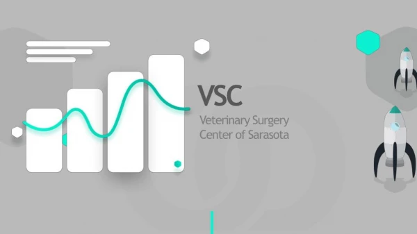 VSC | Veterinary Surgery Center of Sarasota