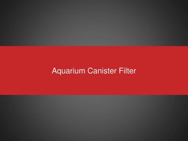 Canister Filter | Best Prices | Buy Now