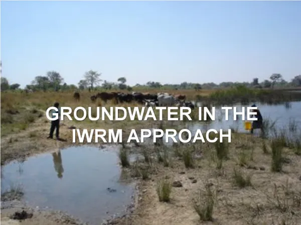 Groundwater in the IWRM approach