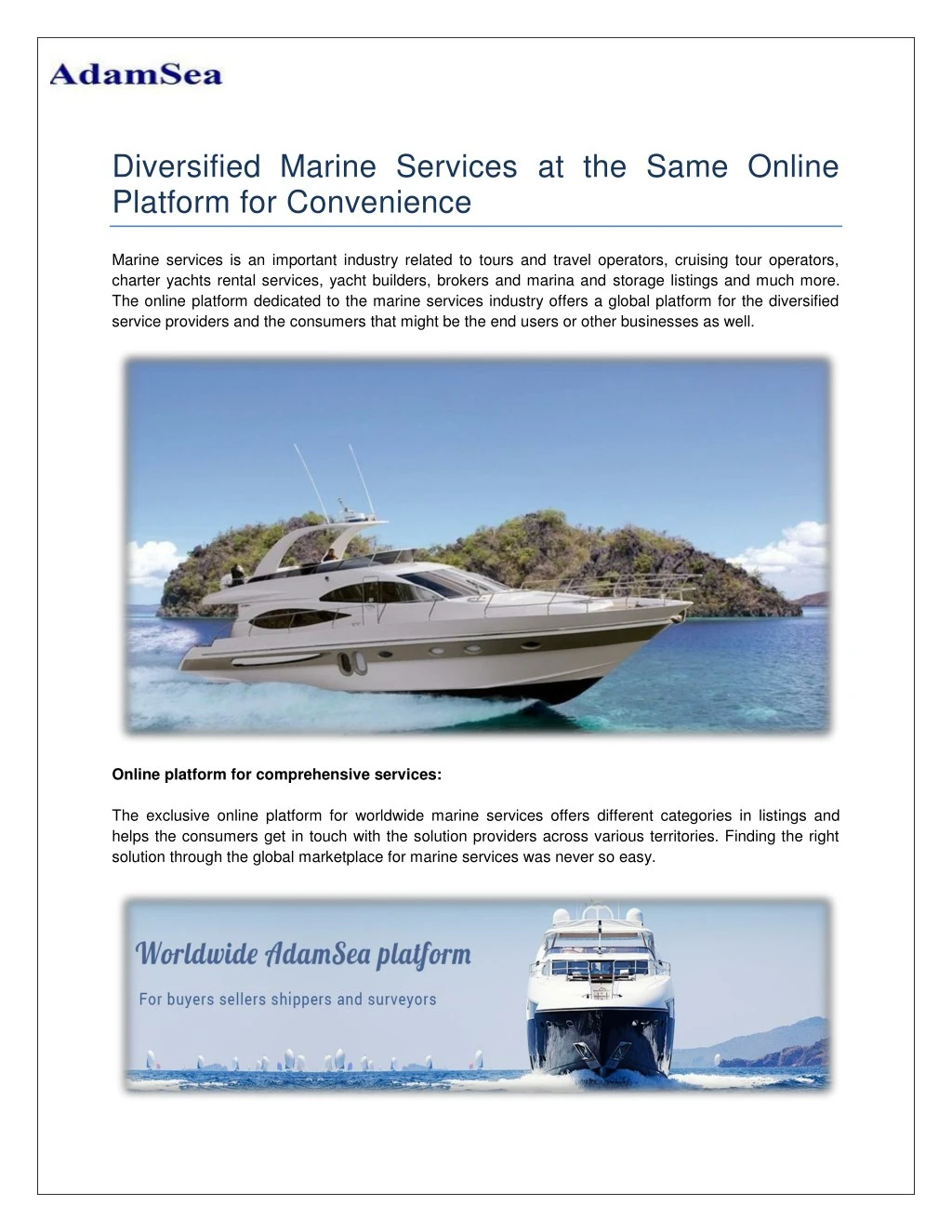 diversified marine services at the same online