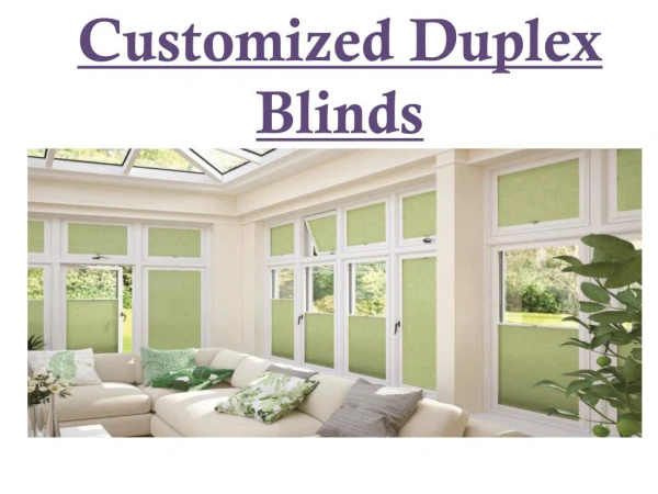 Customized Duplex Blinds in Abu Dhabi