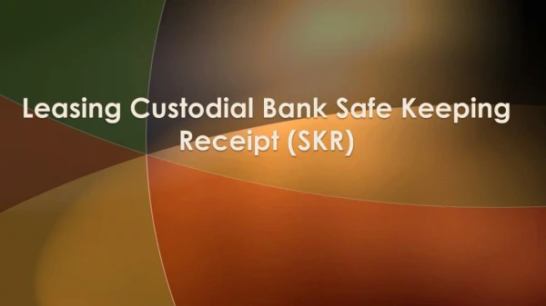 Custodial Bank Safe Keeping Receipt (SKR)