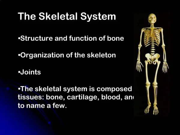 The Skeletal System Structure and function of bone Organization of the skeleton Joints The skeletal system is compos