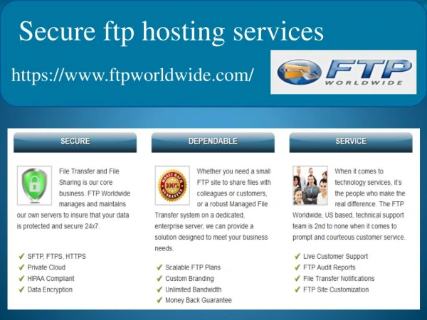 Secure FTP Hosting for Business