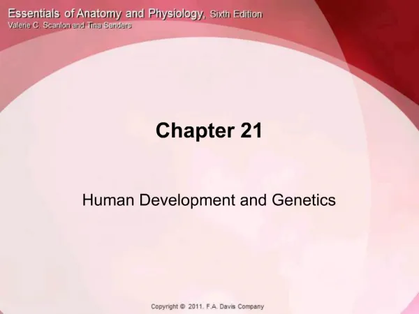 Human Development and Genetics