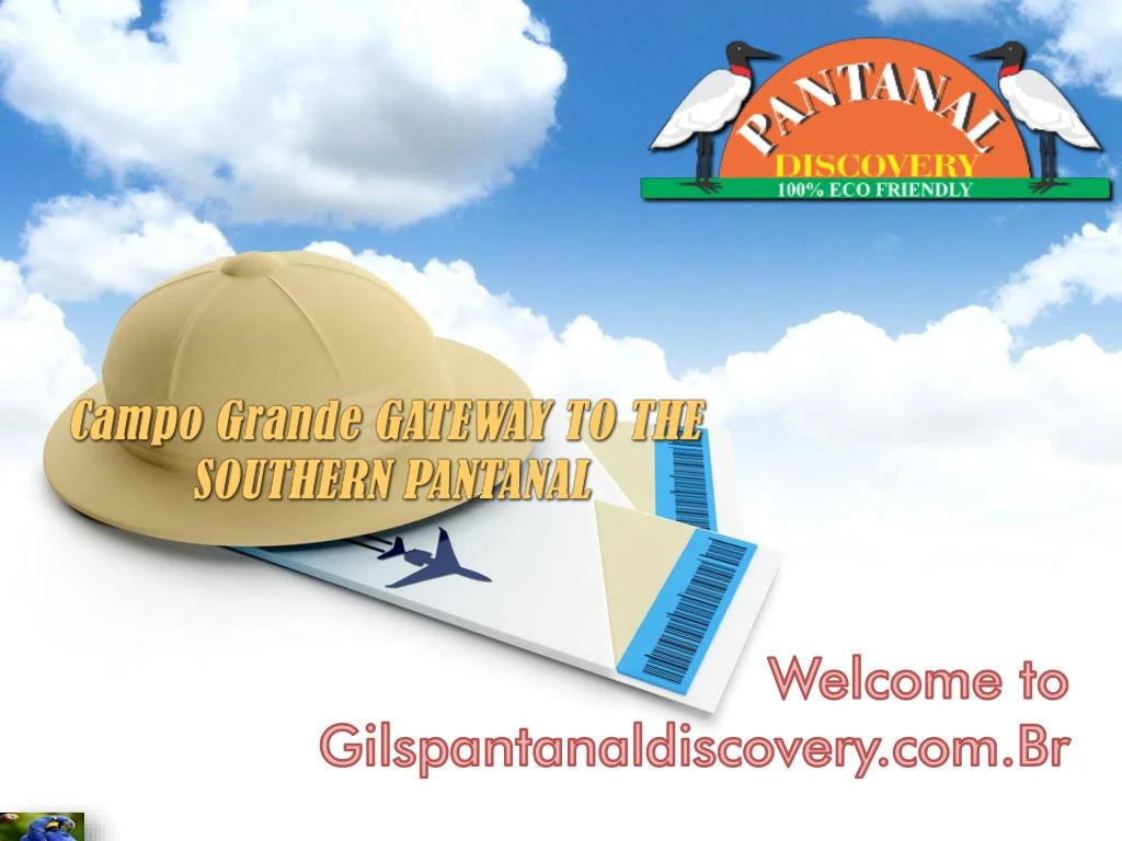 welcome to gilspantanaldiscovery com br