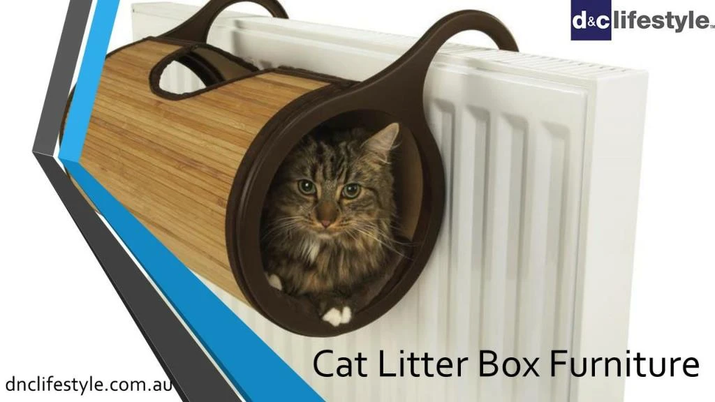 cat litter box furniture