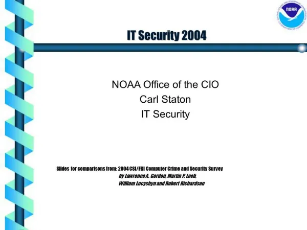 IT Security 2004