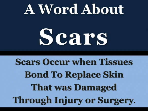 A Segment on Scars