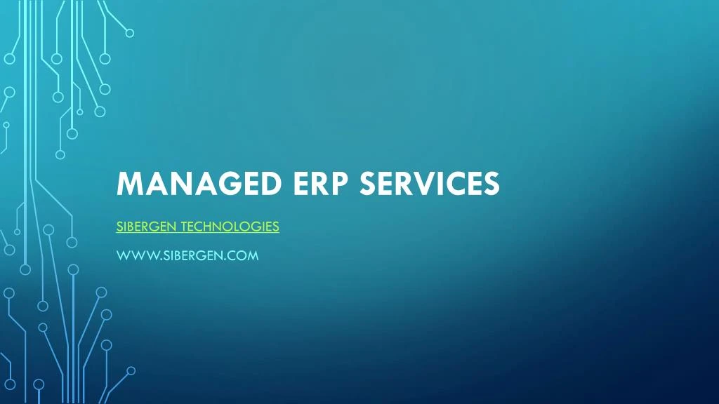 managed erp services