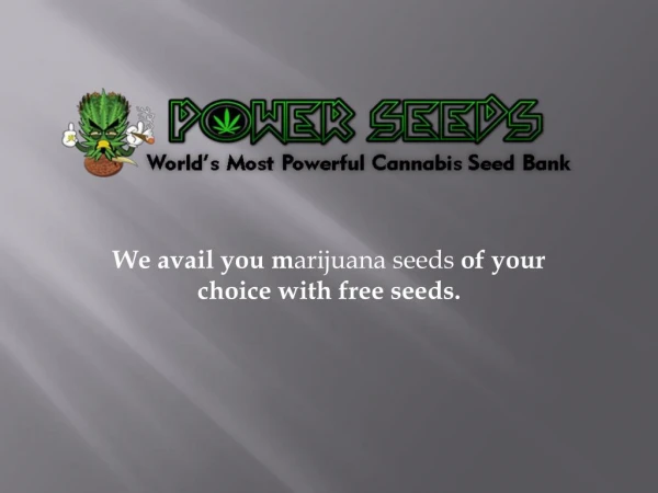 Best Marijuana Seeds | Buy Best Marijuana Seeds from Power Seedbank