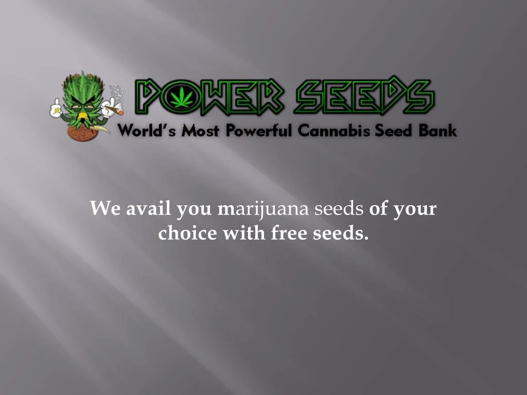 we avail you m arijuana seeds of your choice with free seeds