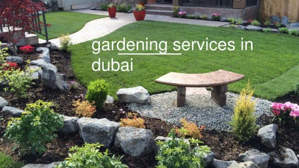 Gardening Service Companies in Dubai