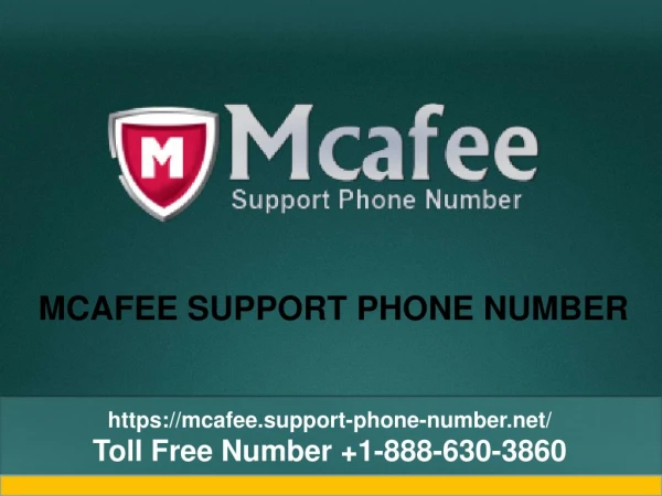 Help For Your McAfee Antivirus? Contact The McAfee Support Phone Number- Free PPT