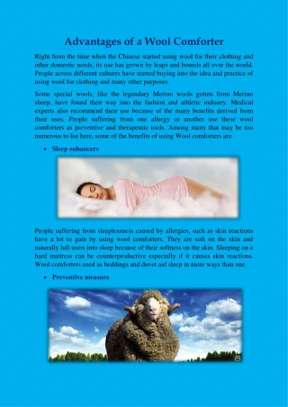Wool Comforter - slide 1
