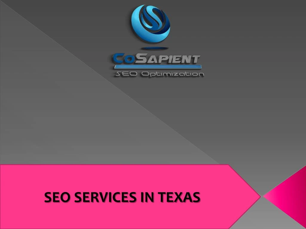 seo services in texas